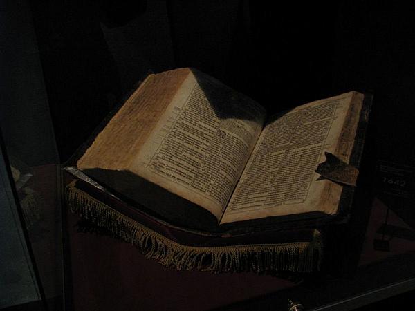 carelicum 7
