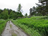 hsaari-49