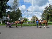 sakkola-juhla-16-20