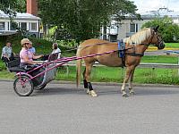 sakkola-juhla-16-22