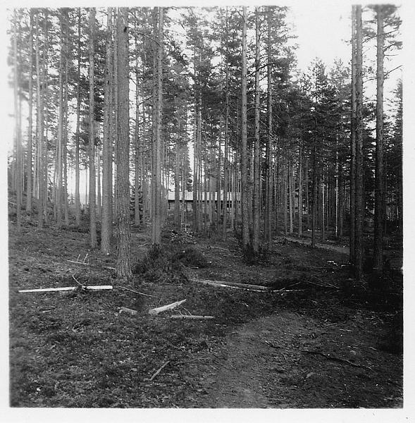 marskin-maja-2